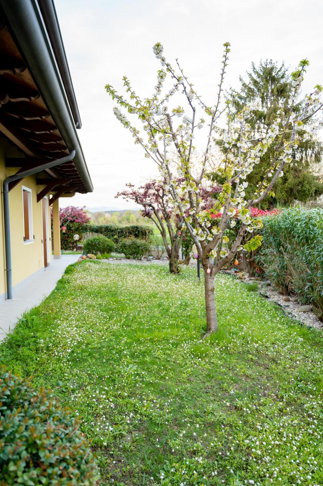 Residence Stradella Verde Staranzano Extérieur photo